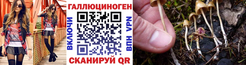 Псилоцибиновые грибы ЛСД  Купить  Чусовой 